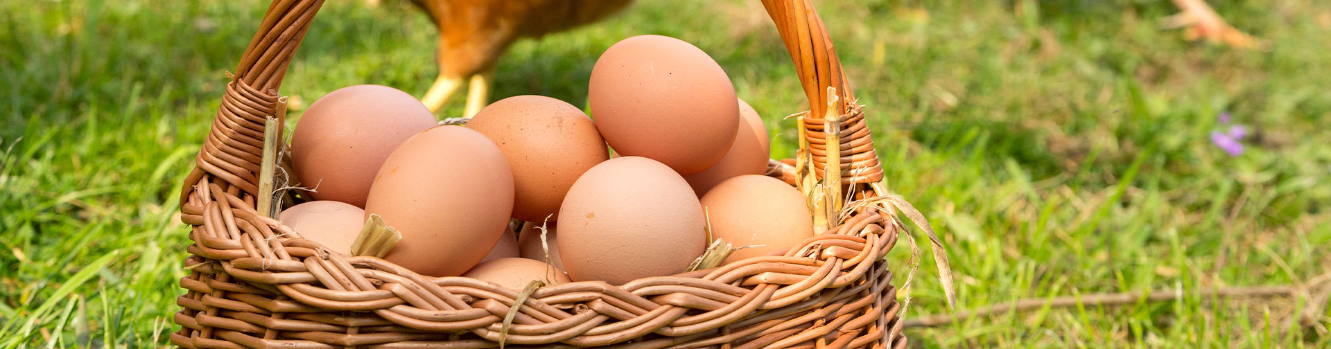 Produits fermiers œufs Amiens
